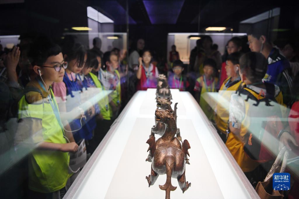 金阳登录